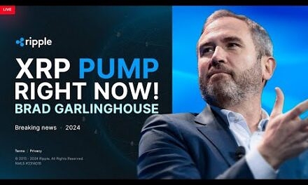 Brad Garlinghouse: Ripple fighting the SEC & Finding Happiness! XRP PRICE PREDICTION