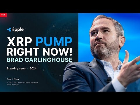 Brad Garlinghouse: Ripple fighting the SEC & Finding Happiness! XRP PRICE PREDICTION