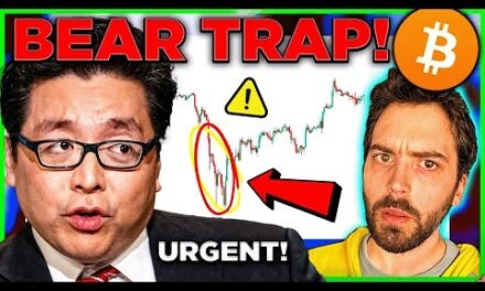 Tom Lee: The Bitcoin Price Is About To Get F**king Crazy