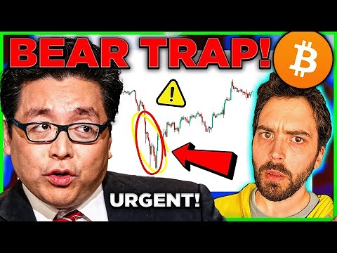 Tom Lee: The Bitcoin Price Is About To Get F**king Crazy