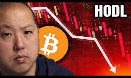 Bitcoin Holders Brace for Turbulence and HODL