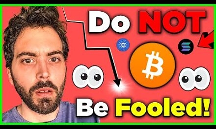 The Real Reason Bitcoin Is Crashing + The Next 10x Altcoin?