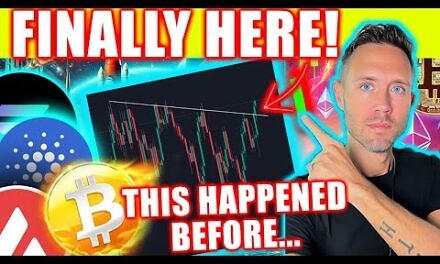 CRYPTO Whales Are SCOOPING Bitcoin! (about to get crazy)