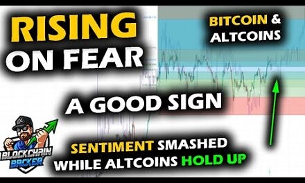 CRYPTO BOUNCES on FEAR, Bitcoin Price Chart Enters Chop Zone, Altcoin Market Holding Up