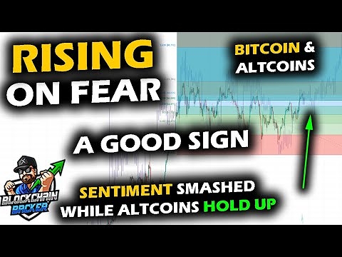 CRYPTO BOUNCES on FEAR, Bitcoin Price Chart Enters Chop Zone, Altcoin Market Holding Up