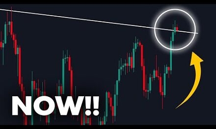 THE BITCOIN ETF JUST FLIPPED !!!! (….giga bullish)