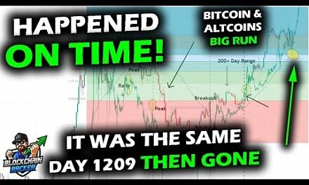 It Happened the SAME, Bitcoin Price Chart and Altcoin Market Like 2017, Completed Crash Like 2020