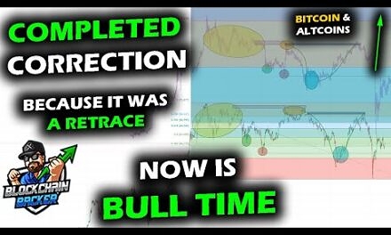 BULL ACTIVATION as Crypto Market, Altcoins and Bitcoin Price Chart Mimic Completed Correction