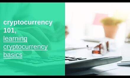 cryptocurrency 101 basics, learning cryptocurrency basics, and fundamentals