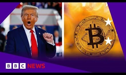 US shares and Bitcoin hit record high on Donald Trump win | BBC News