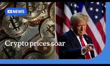 What's driving the crypto rise after Trump's election? | ABC NEWS