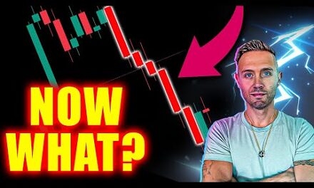 BULL MARKET Dips Are A Gift (CRYPTO WARNING)