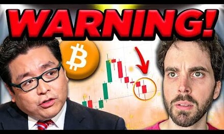 Tom Lee REVEALS 2024 US Election & Bitcoin PREDICTION