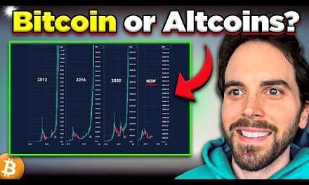 Should I Buy Bitcoin or Altcoins in 2025? | Best Investment To Get Rich