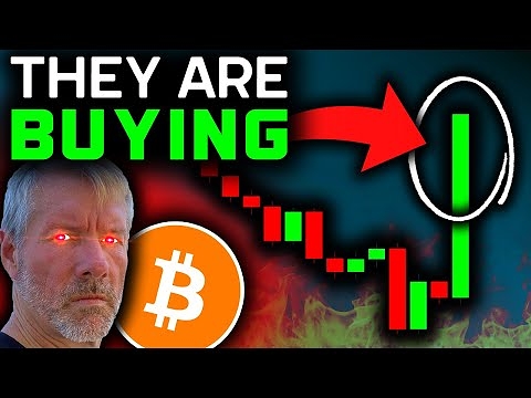 BITCOIN WHALES BUYING NOW (this is next)!!! Bitcoin News Today & Bitcoin Price Prediction!