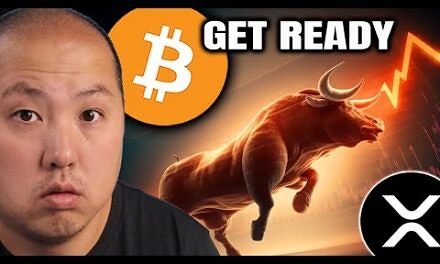 Get Ready for Massive Bitcoin Supply Shock | XRP Mimics 2018