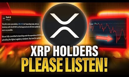 XRP Holders This Is CRUCIAL To Watch | What Happens Next?