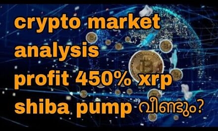 crypto market analysis, profit 450% xrp, shiba inu pump