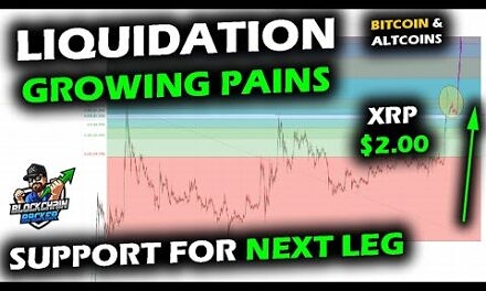 Liquidation as Bitcoin Price Chart Retreats, XRP Support Levels, Altcoin Market All Time High Battle