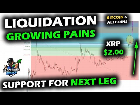 Liquidation as Bitcoin Price Chart Retreats, XRP Support Levels, Altcoin Market All Time High Battle