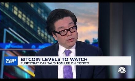 Bitcoin's going to be one of the best performing assets this year, says Fundstrat's Tom Lee