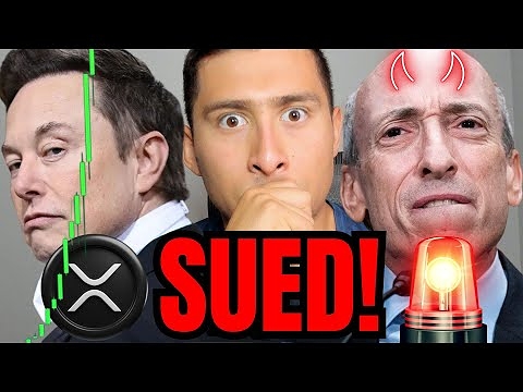 URGENT LAWSUIT XRP RIPPLE NEWS! (YOU HAVE 24 HOURS!)