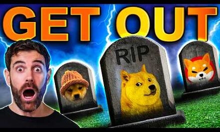 Crypto Insiders WARN: Memecoins Are Crashing – Get Out NOW!?