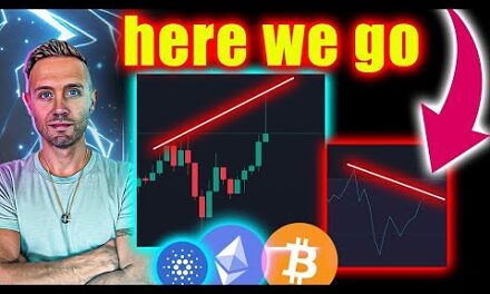 Bitcoin Dominance SHOCKS Everyone – Altcoin SUPERCYCLE THEORY Is Real!