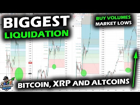 MASSIVE VOLUMES Mark Liquidation Lows as Bitcoin and Altcoin Market Send Shockwaves, XRP Back Test