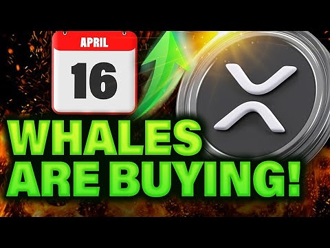 Crypto Whales Know Something BIG Is About To Happen With XRP